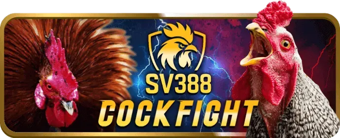 Hỗ trợ trực tuyến 24/7 của 99win